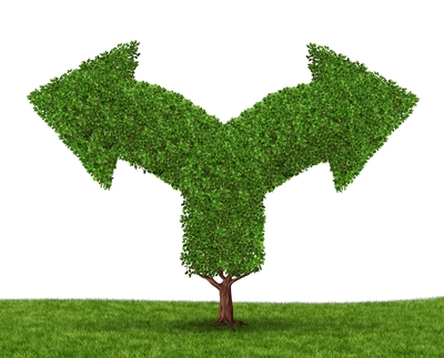 changes in project management