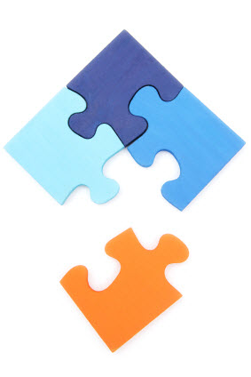 Puzzle Pieces