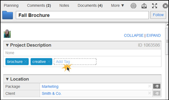 You can add tags from the Edit Panel.