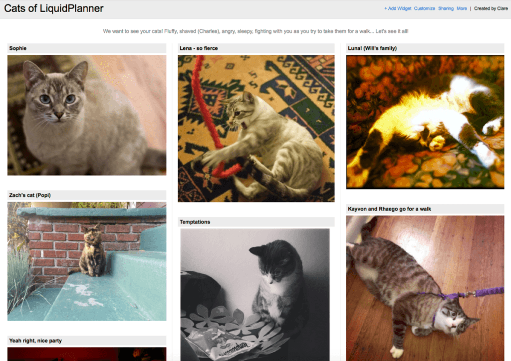 cats of liquidplanner dashboards