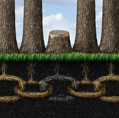 project management practices