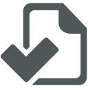 Checklist Icon