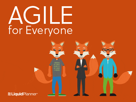 agile for everyone