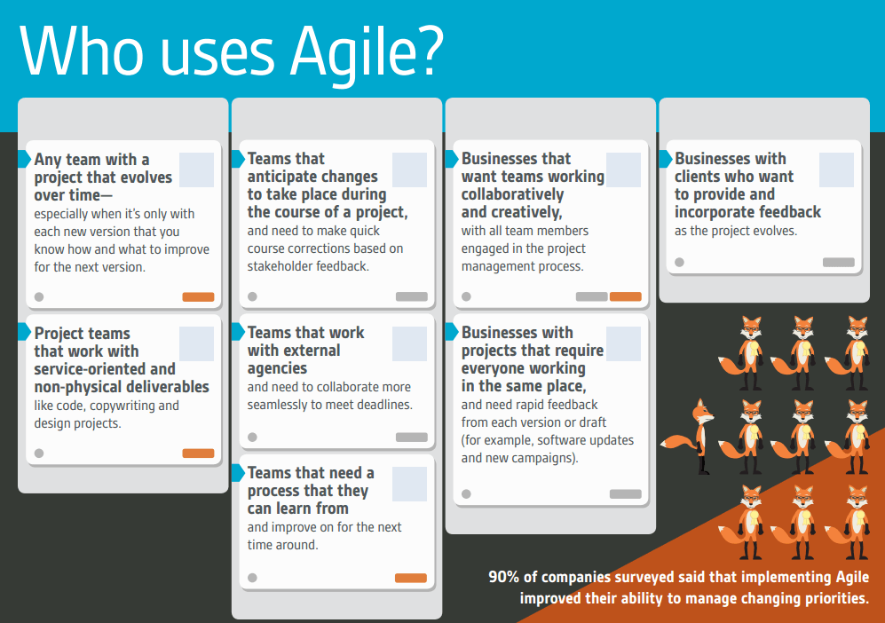 Who uses Agile