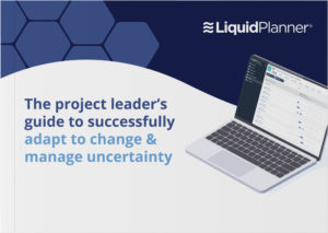 project leader ebook liquidplanner cover image