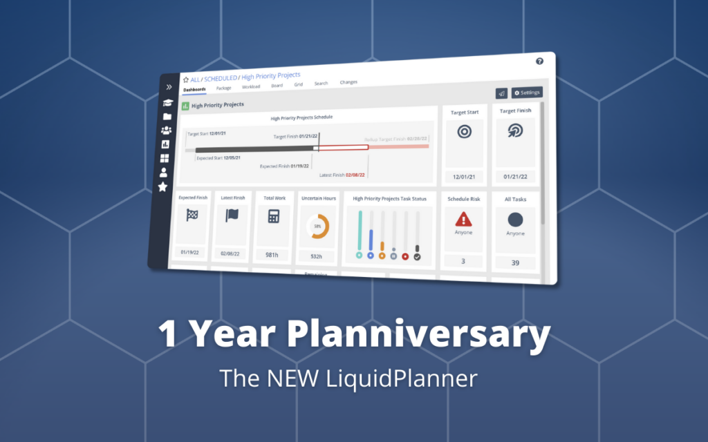 liquidplanner 1-year planniversary