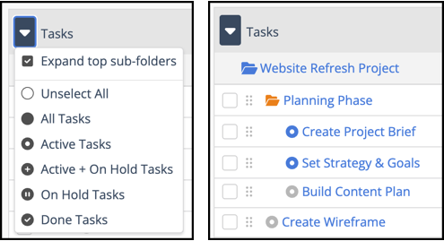 project view liquidplanner