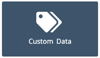 Custom Data Settings liquidplanner