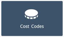 liquidplanner custom cost codes