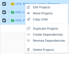 Duplicate Projects & Create Templates by checking boxes next to plan items