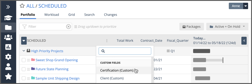Custom Data columns on Portfolio, Package and Project Views.