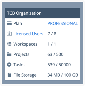 Organization usage meter