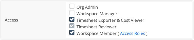 Timesheet Exporter & Cost Viewer Setting