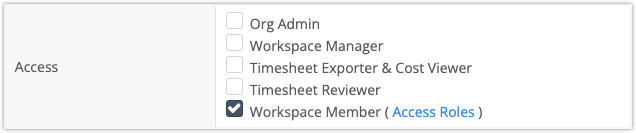 Workspace Member Roles and Access Setting