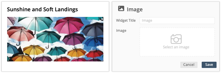 Image Widget Settings
