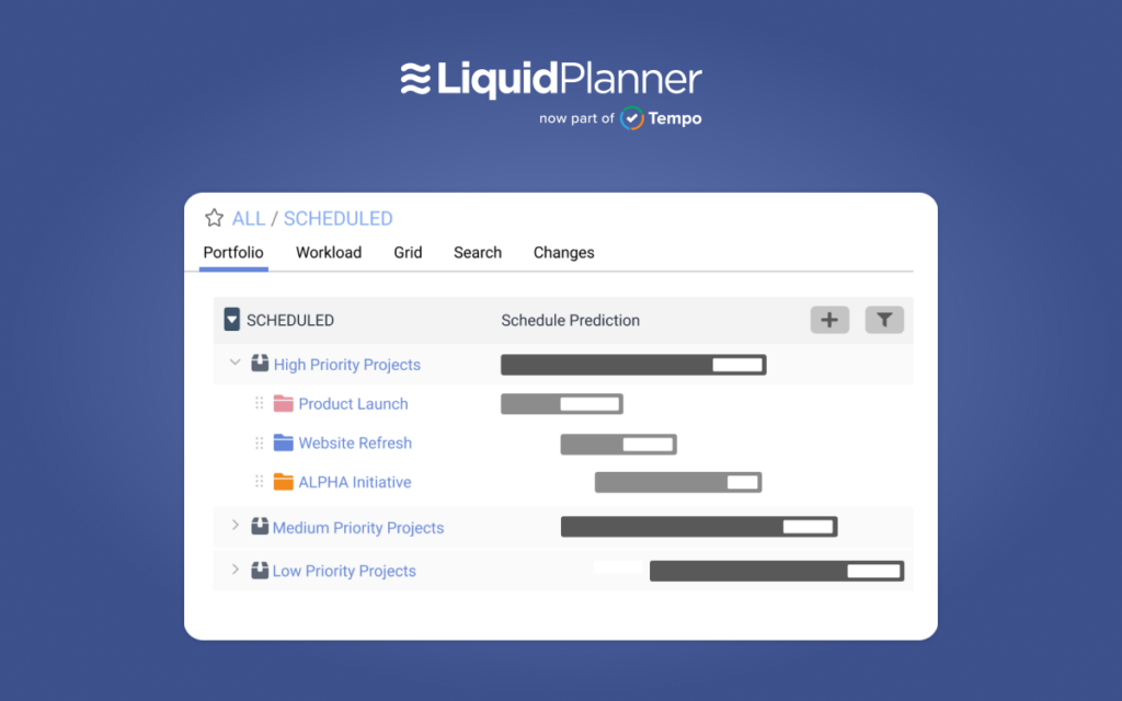 priority view in liquidplanner shows high, medium, and low priority projects